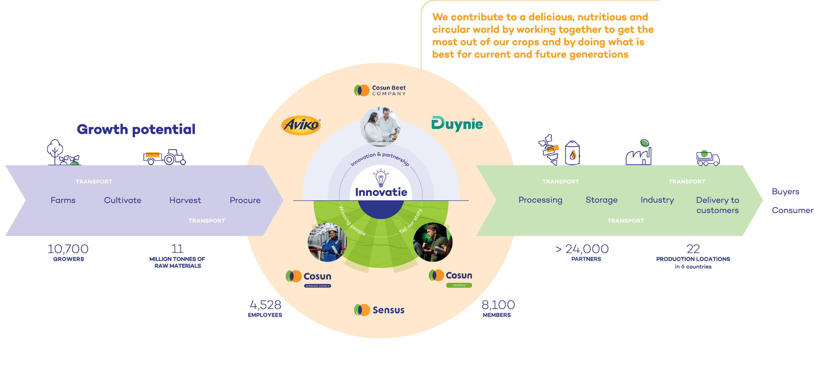 infographic